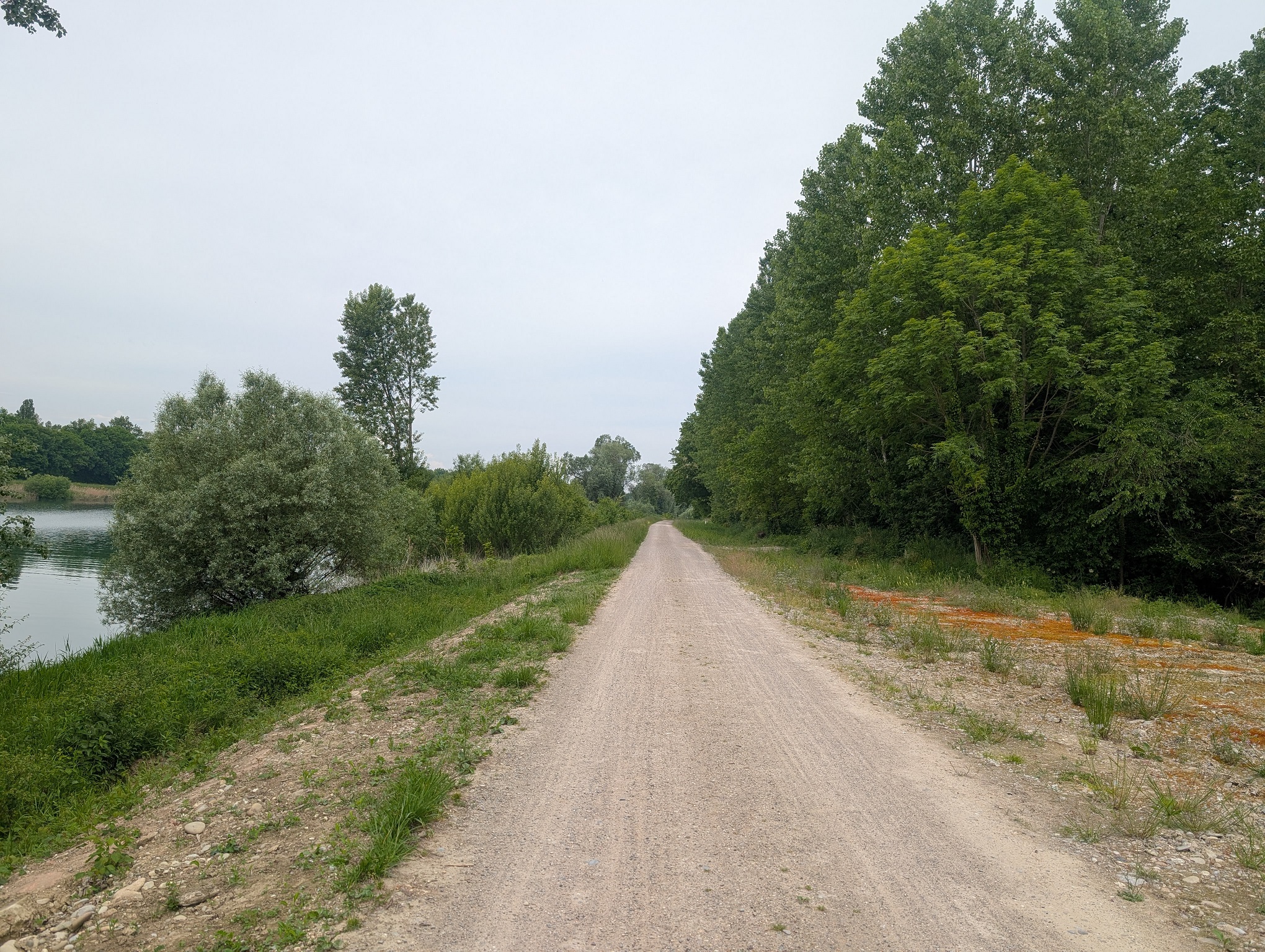 Bild vom Leinpfad Rhein Wehr Marckolsheim